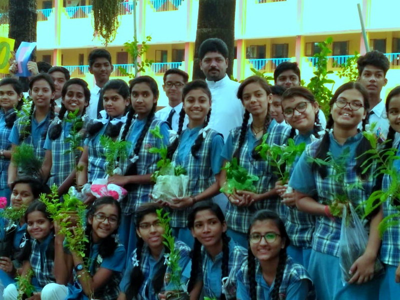 TREE PLANTATION